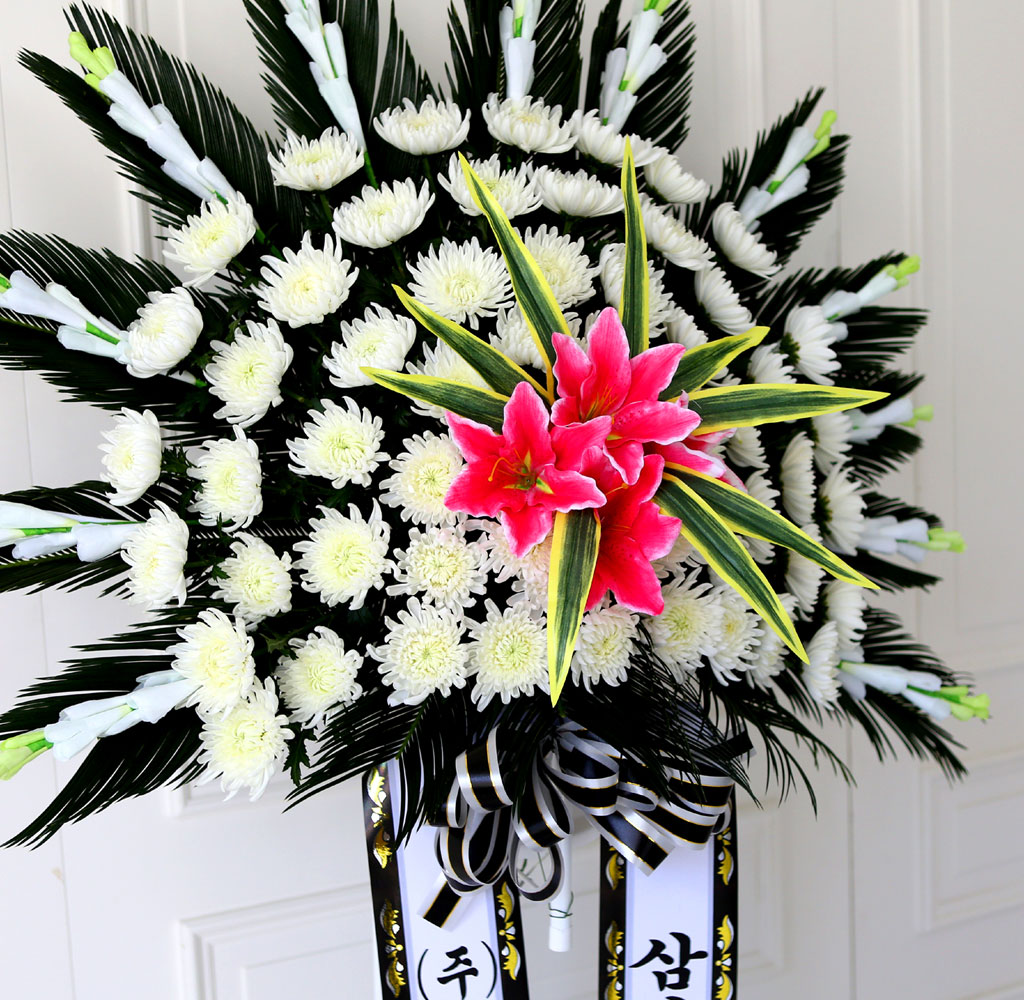 ãæ ±ÙÁ¶Èȯ 1´Ü ¿ÀºêÁ¦Èȯ