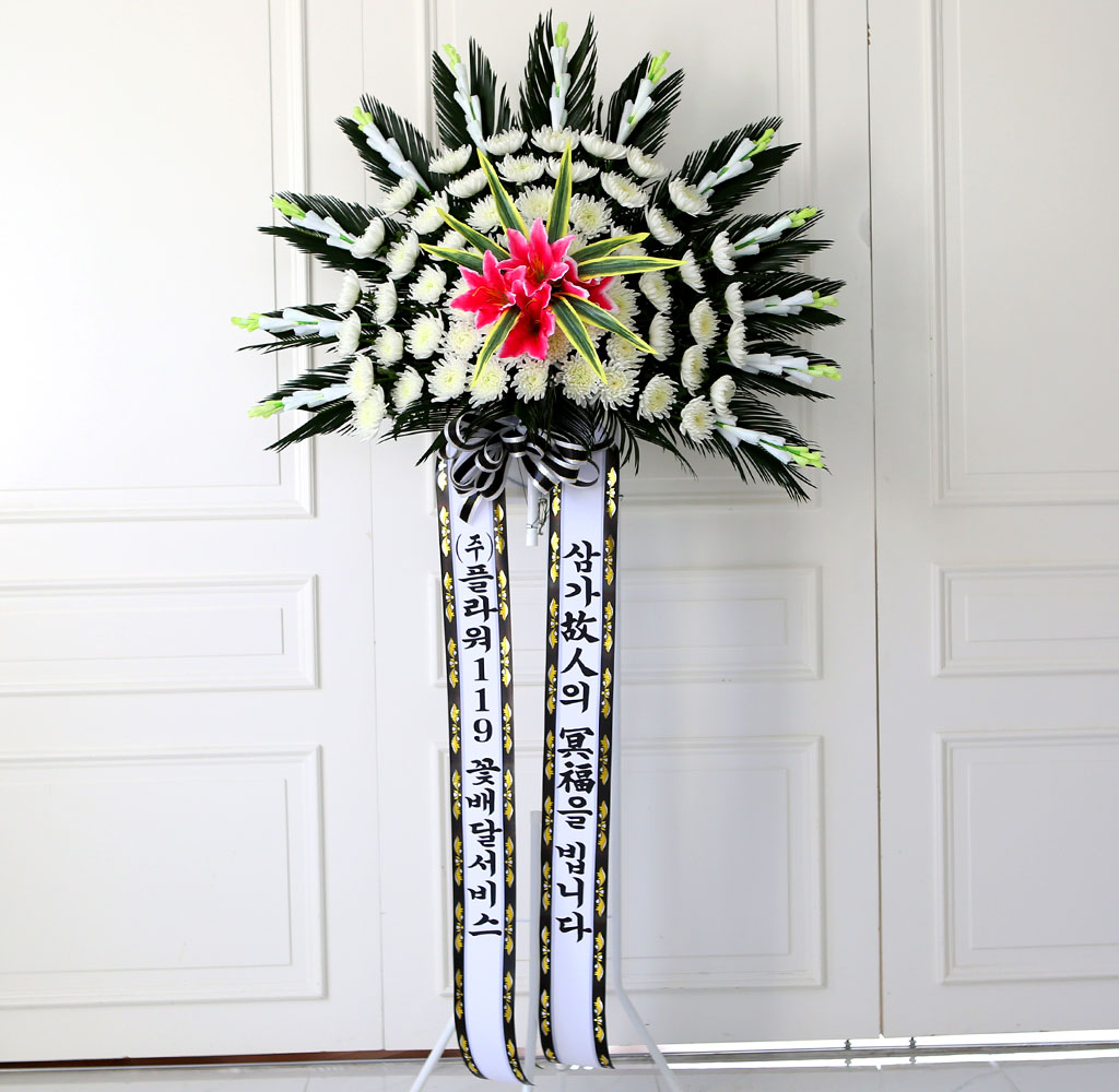 ãæ ±ÙÁ¶Èȯ 1´Ü ¿ÀºêÁ¦Èȯ