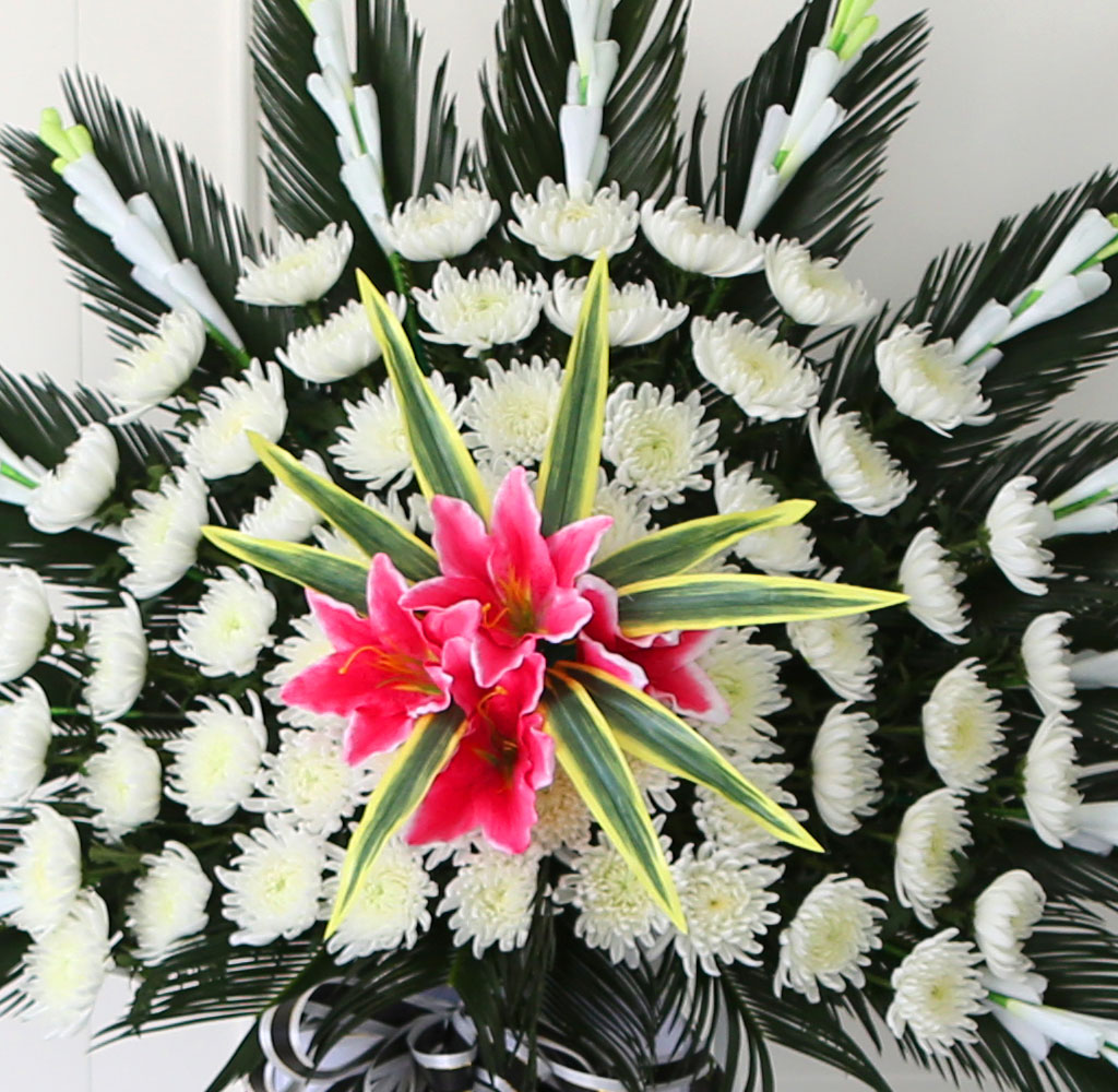 ãæ ±ÙÁ¶Èȯ 1´Ü ¿ÀºêÁ¦Èȯ