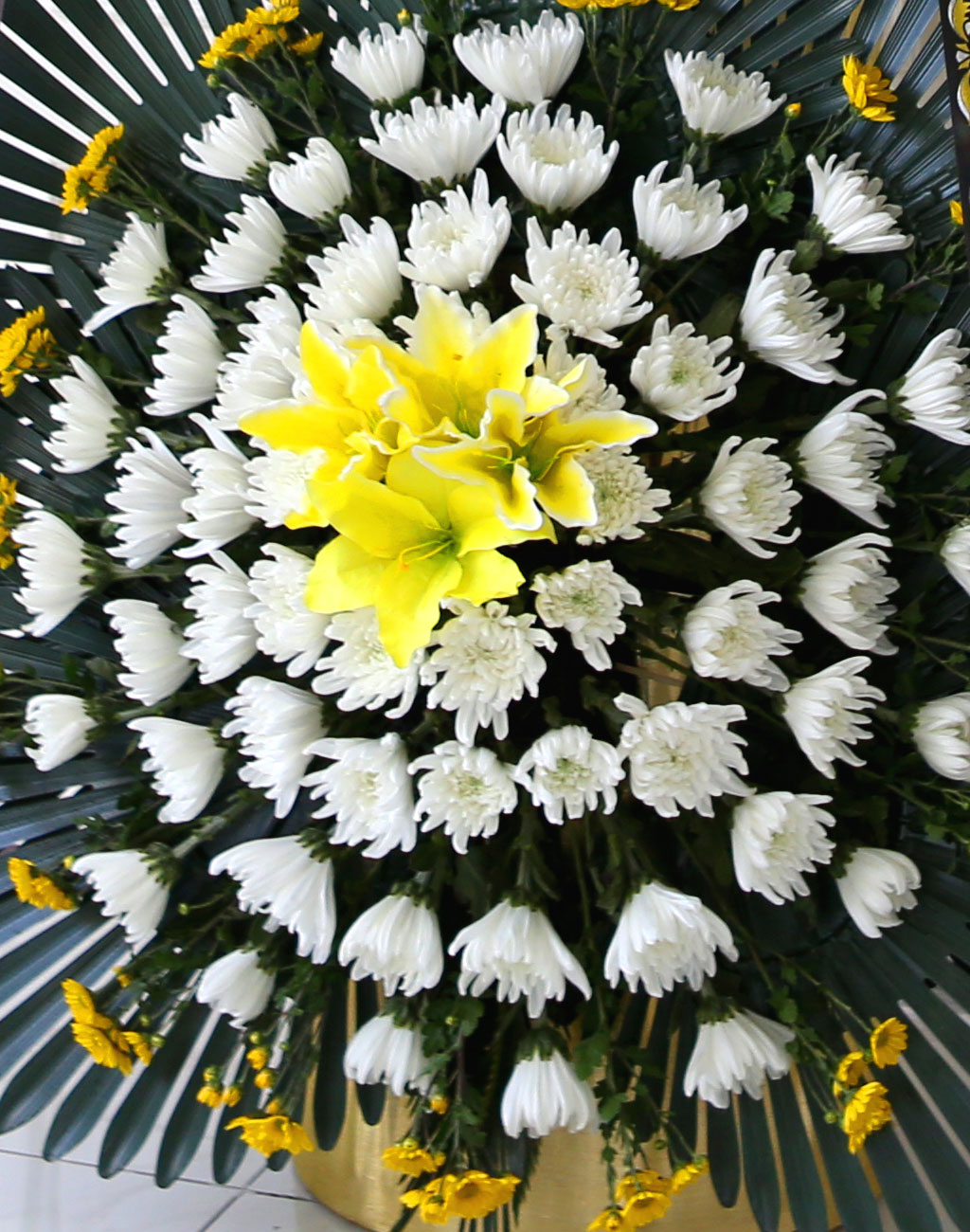 ãæ ±ÙÁ¶Èȯ2´Ü ¿ÀºêÁ¦Èȯ ²ÉÁý ²É¹è´Þ