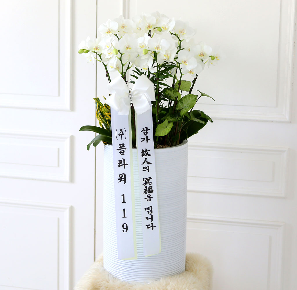 [ ] ǰ     ȭȯ()  ɹ