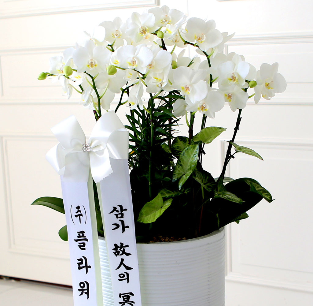 [ ] ǰ     ȭȯ()  ɹ