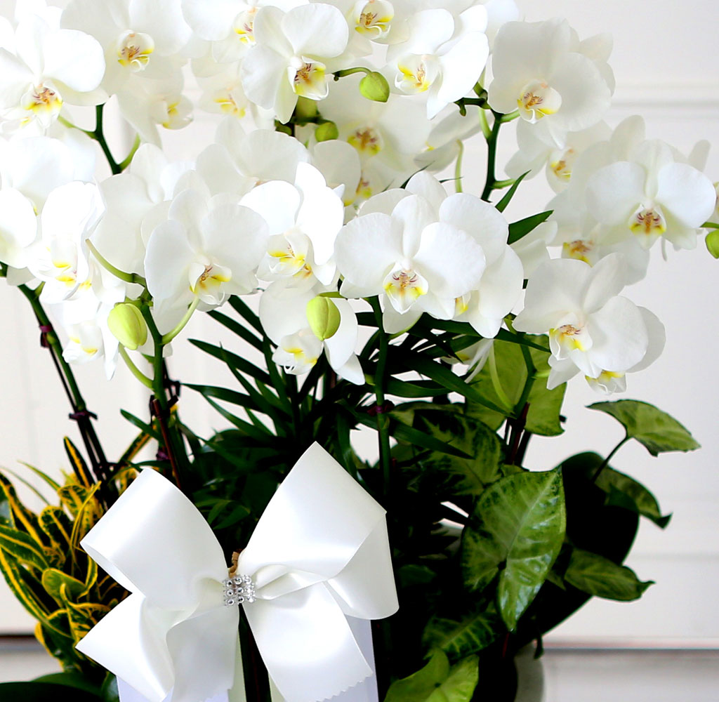 [ ] ǰ     ȭȯ()  ɹ