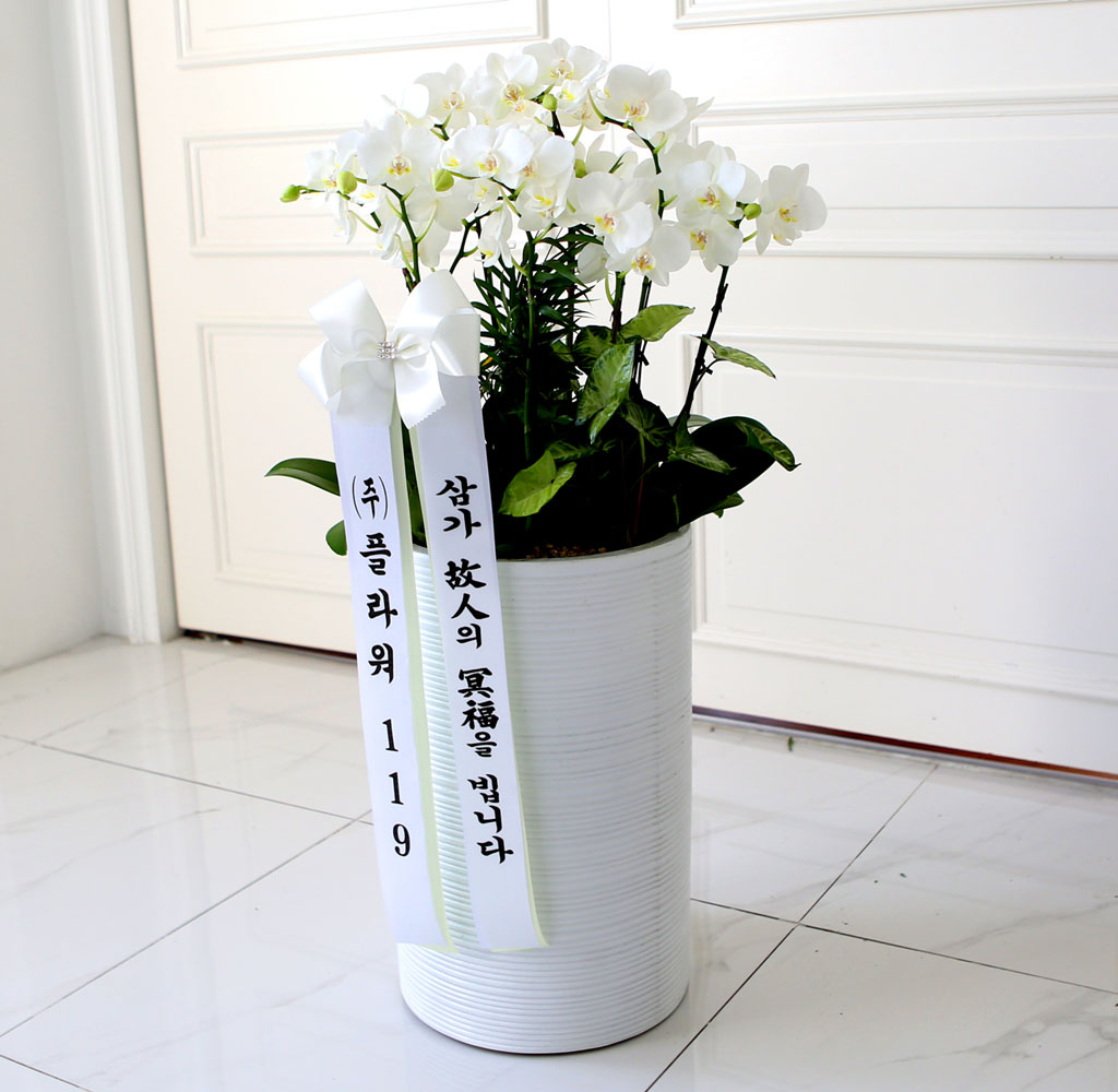 [ ] ǰ     ȭȯ()  ɹ