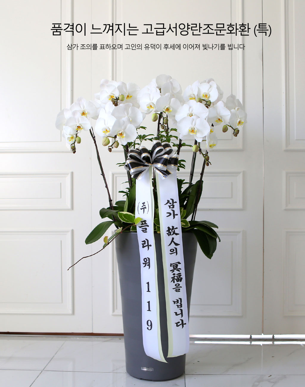 [ ] ǰ  ޼ ȭȯ(Ư)  ɹ