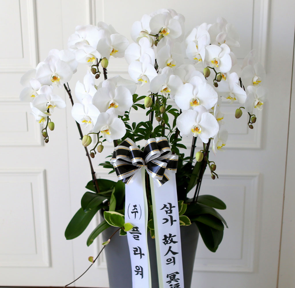 [ ] ǰ  ޼ ȭȯ(Ư)  ɹ