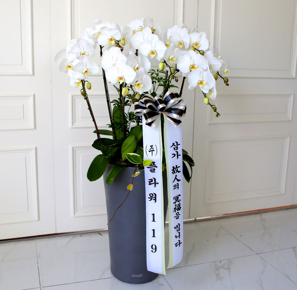 [ ] ǰ  ޼ ȭȯ(Ư)  ɹ