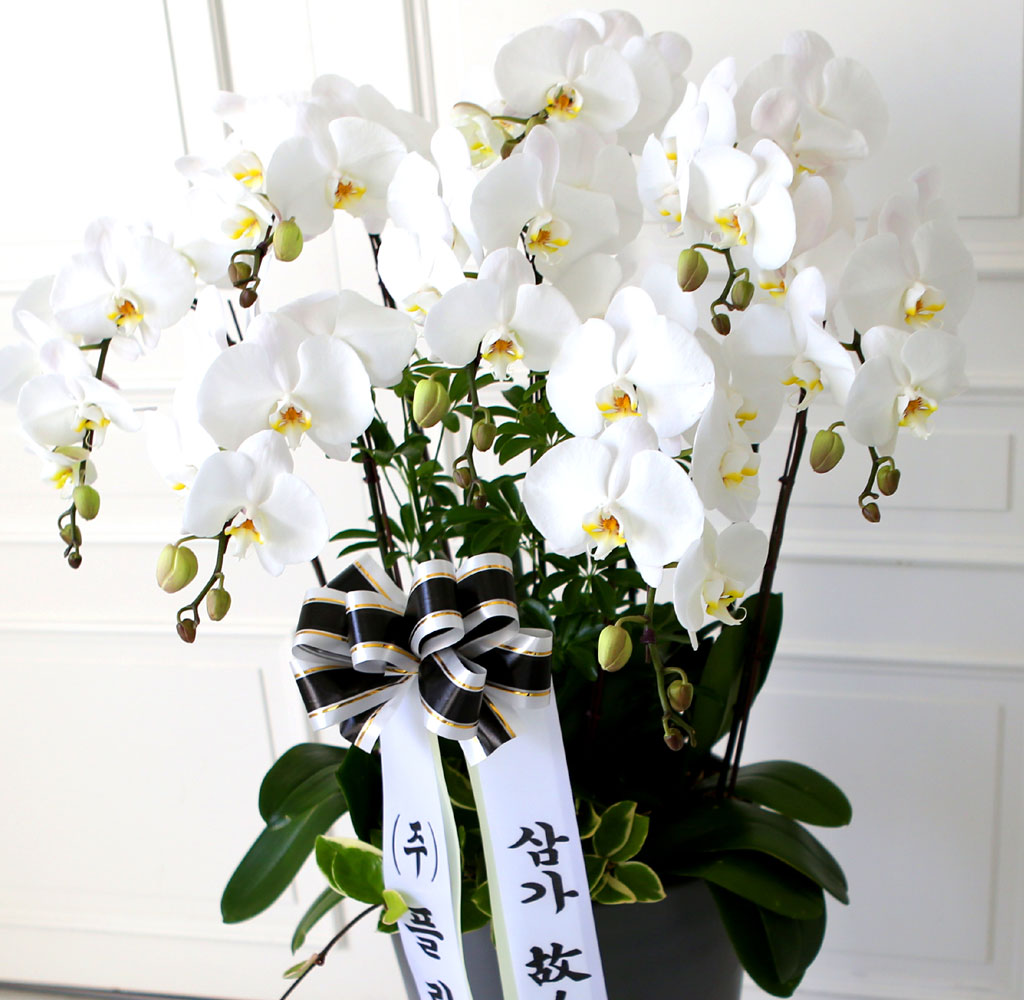 [ ] ǰ  ޼ ȭȯ(Ư)  ɹ