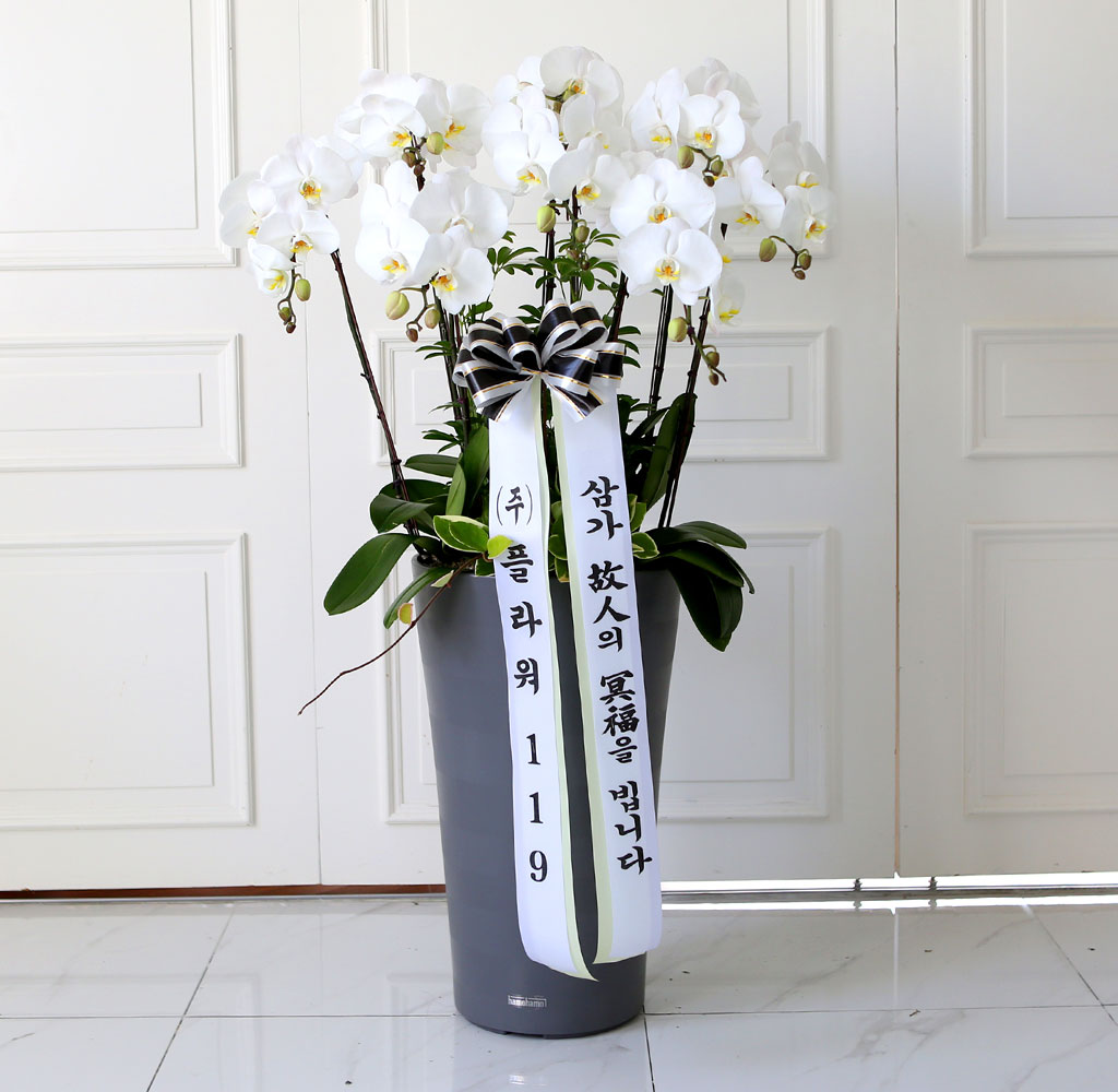 [ ] ǰ  ޼ ȭȯ(Ư)  ɹ