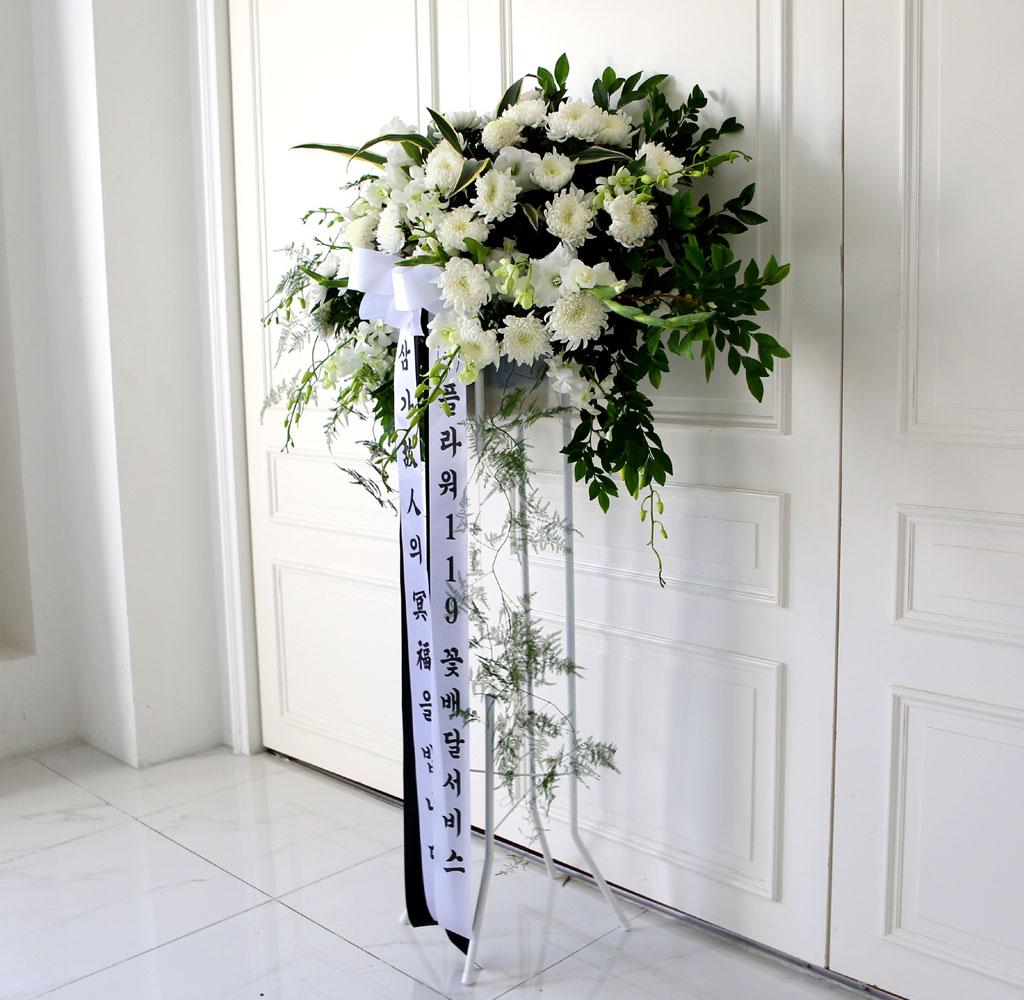 [  ȭȯ] Ư ȭȯ -   帳ϴ  ɹ