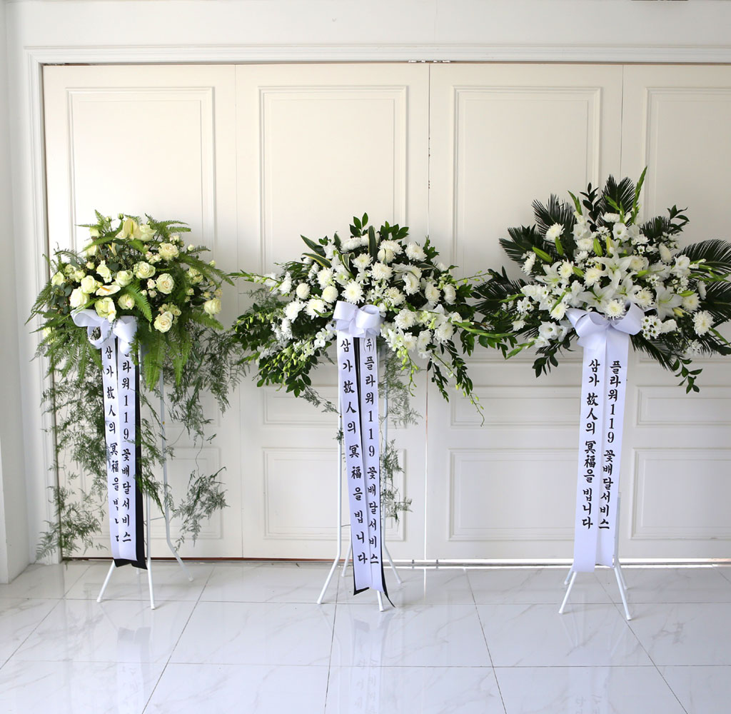 [  ȭȯ] Ư ȭȯ -   帳ϴ  ɹ