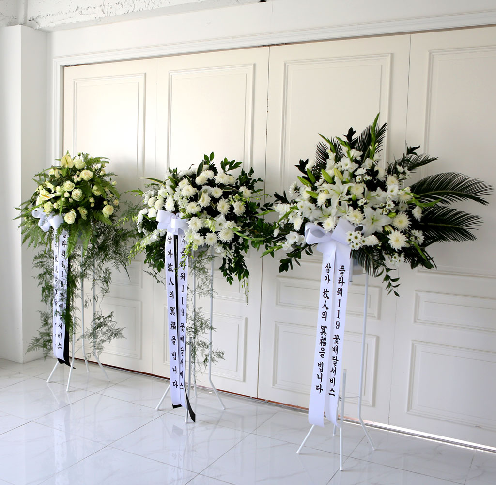 [  ȭȯ] Ư ȭȯ -   帳ϴ  ɹ