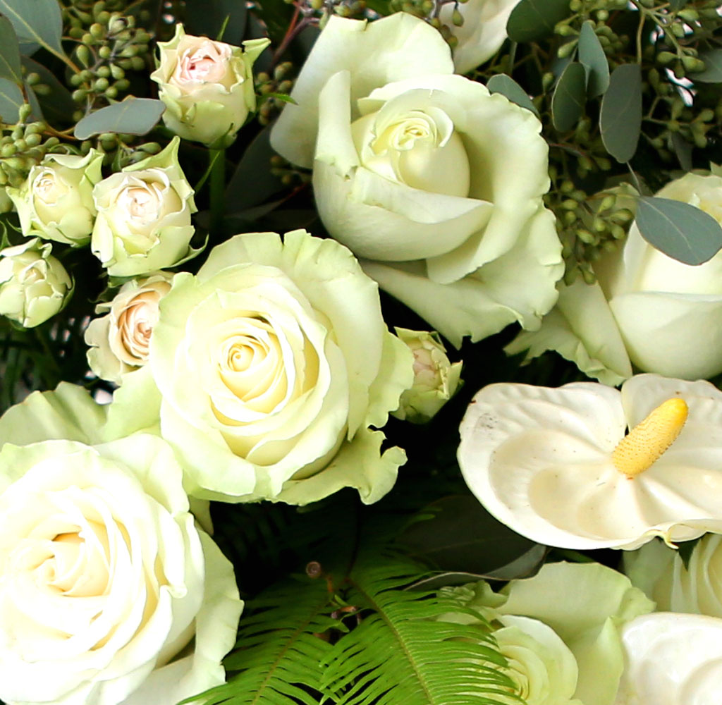 [  ȭȯ] Ư  ȭȯ - Ƹٿٰ  ϴ 