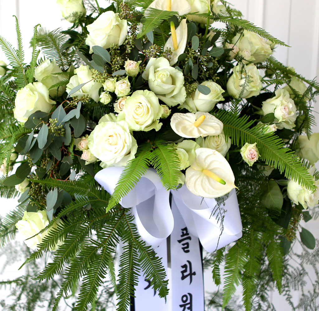 [  ȭȯ] Ư  ȭȯ - Ƹٿٰ  ϴ 