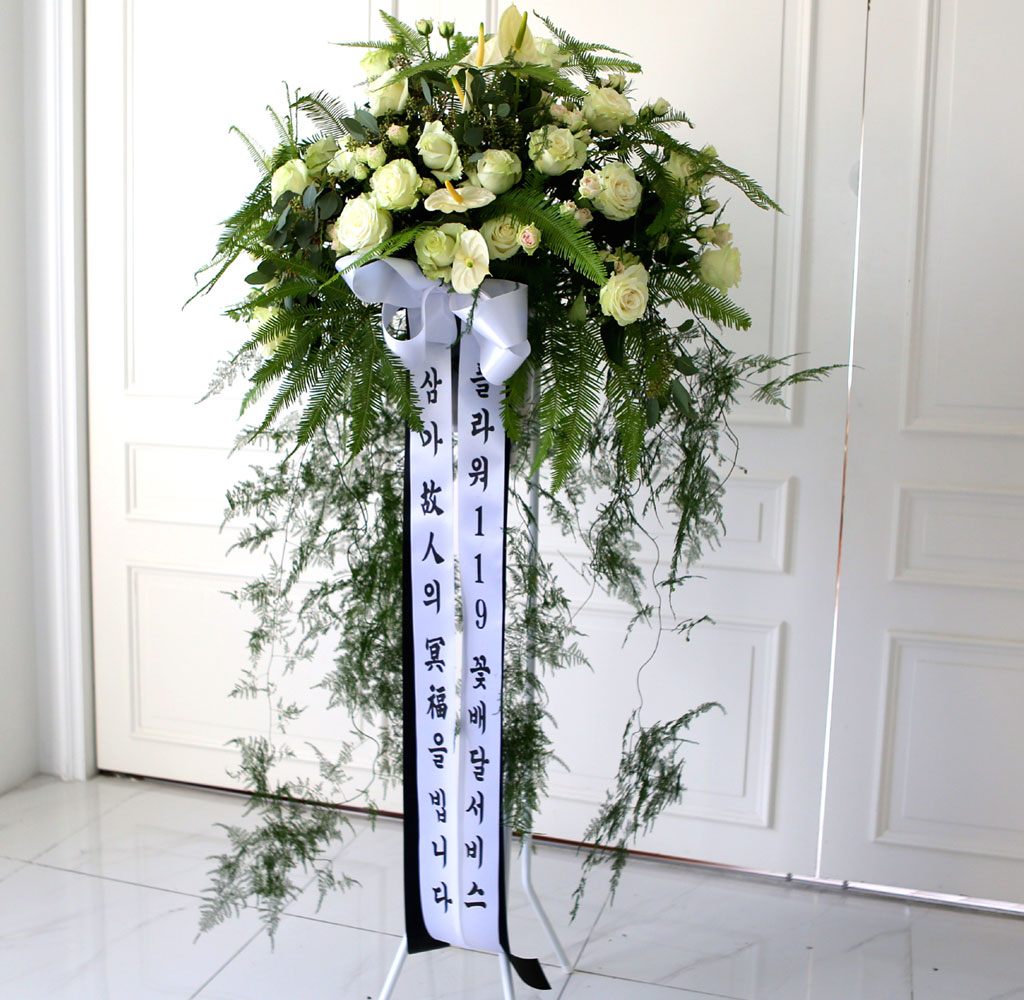 [  ȭȯ] Ư  ȭȯ - Ƹٿٰ  ϴ 