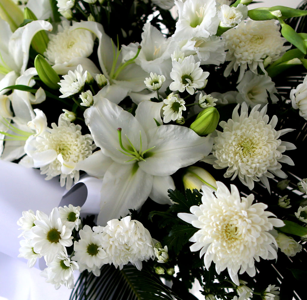 [  ȭȯ] Ư ȭȯ - ϴ  ɹ