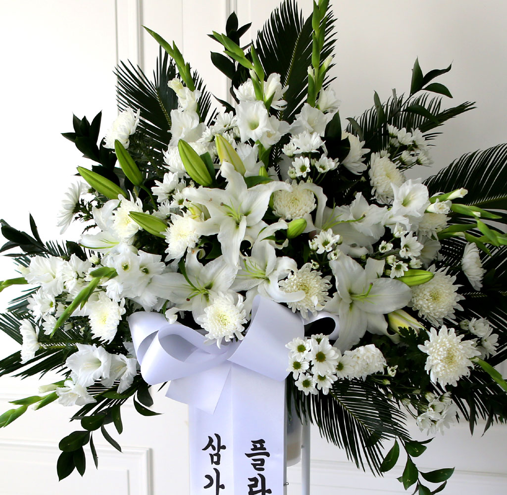 [  ȭȯ] Ư ȭȯ - ϴ  ɹ