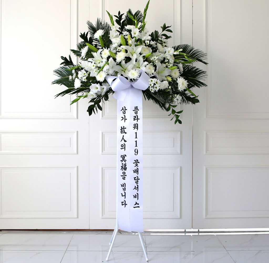 [  ȭȯ] Ư ȭȯ - ϴ  ɹ