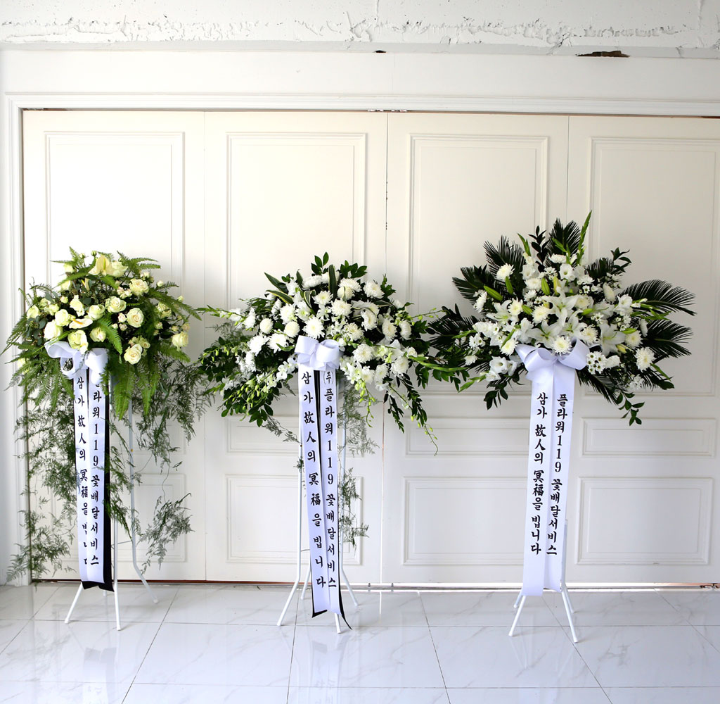 [  ȭȯ] Ư ȭȯ - ϴ  ɹ