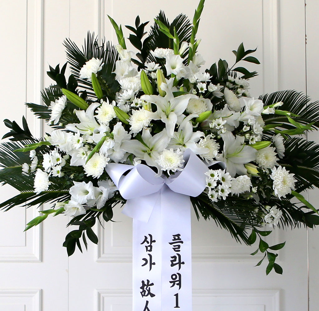 [  ȭȯ] Ư ȭȯ - ϴ  ɹ