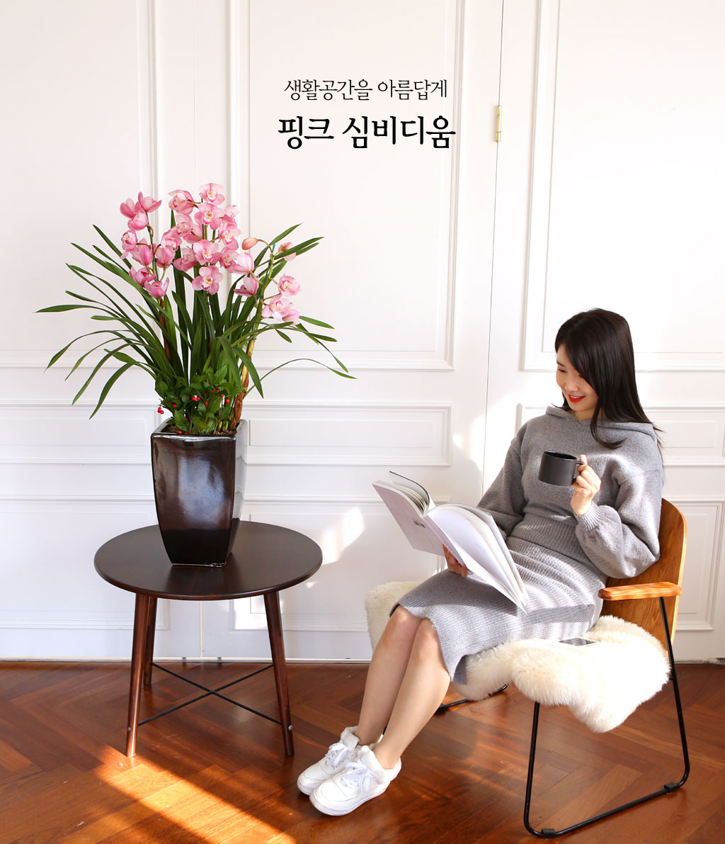 [] Ȱ Ƹ - ũɺ ()  ɹ