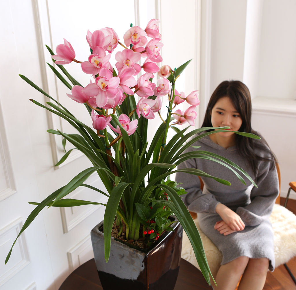 [] Ȱ Ƹ - ũɺ ()  ɹ