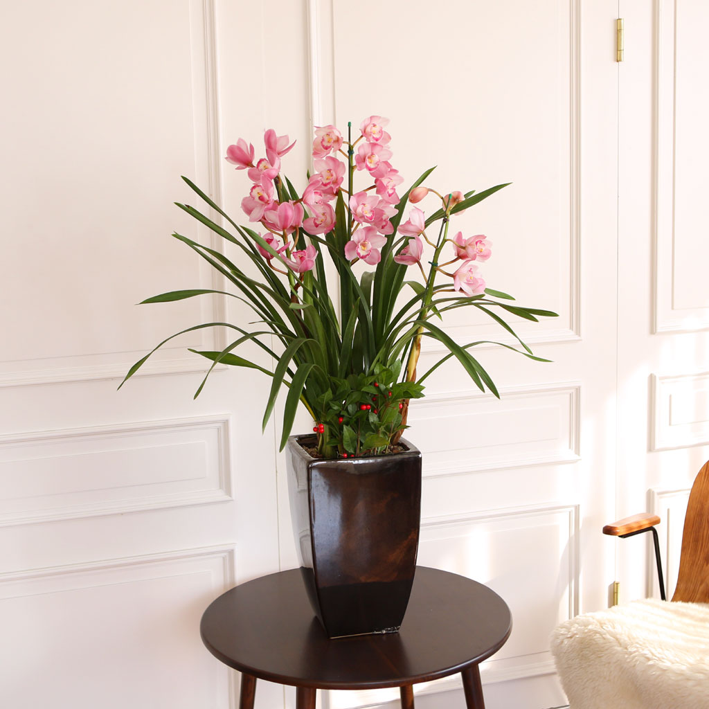 [] Ȱ Ƹ - ũɺ ()  ɹ