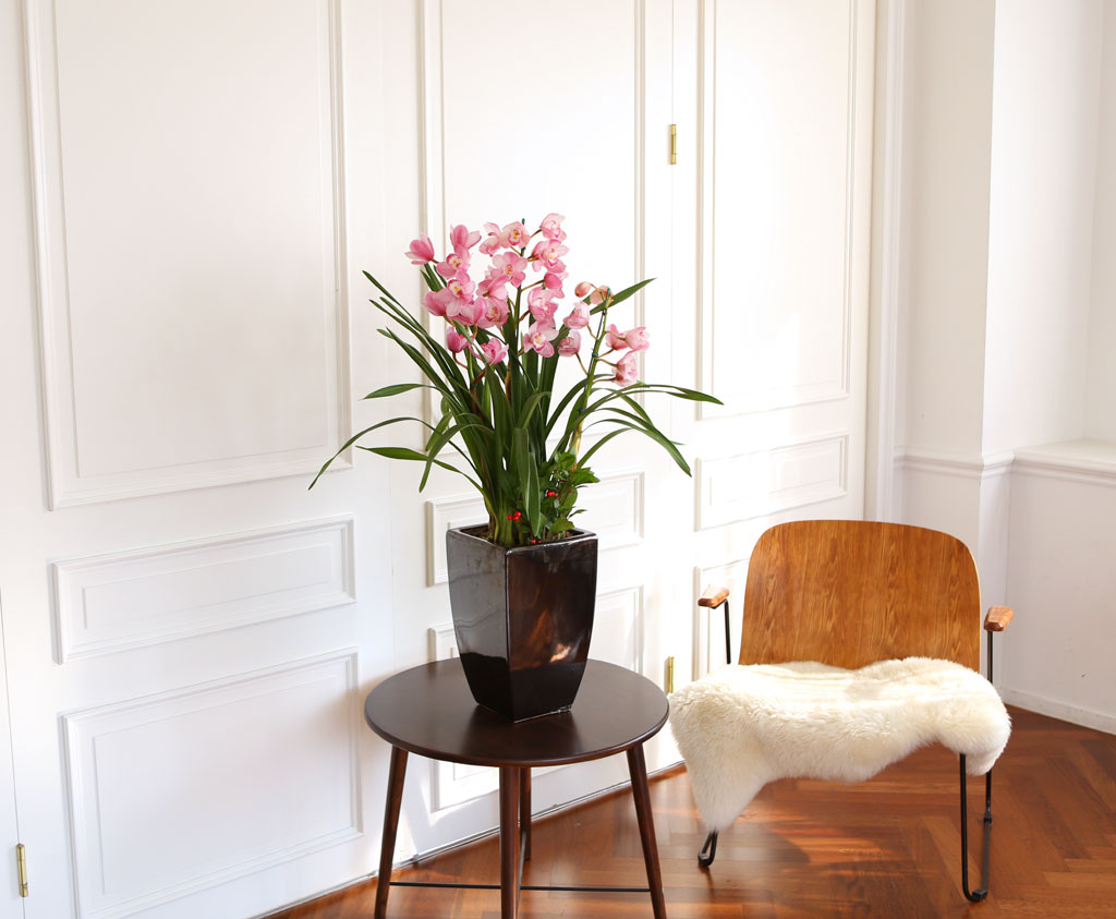 [] Ȱ Ƹ - ũɺ ()  ɹ