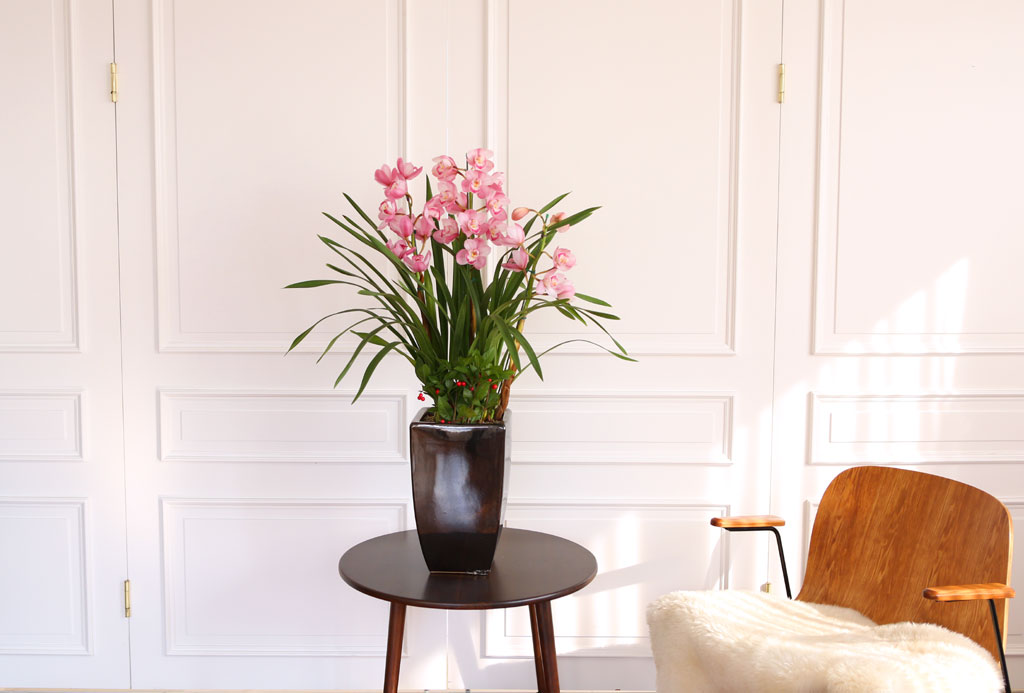 [] Ȱ Ƹ - ũɺ ()  ɹ