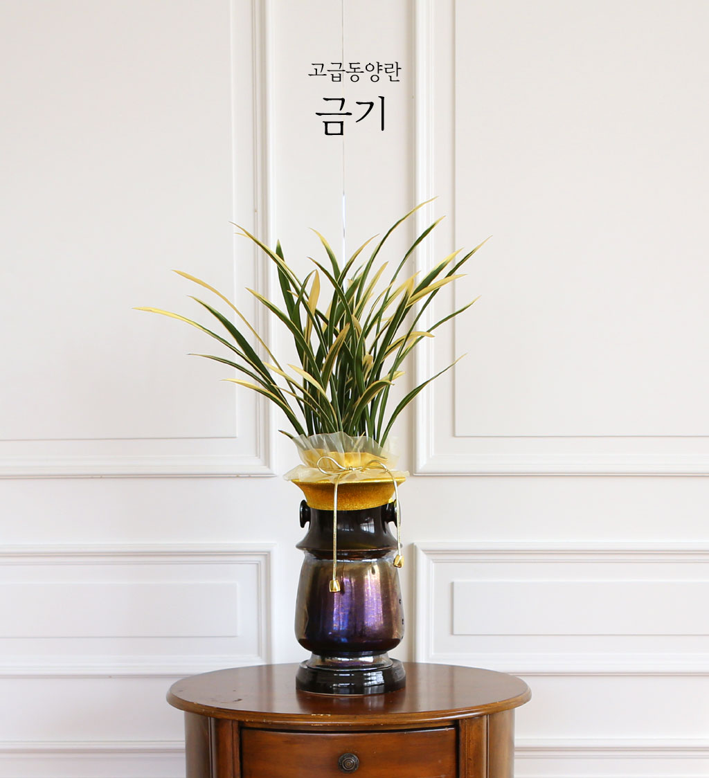 ¸íǰ µ¿¾ç¶õ - ±Ý±â