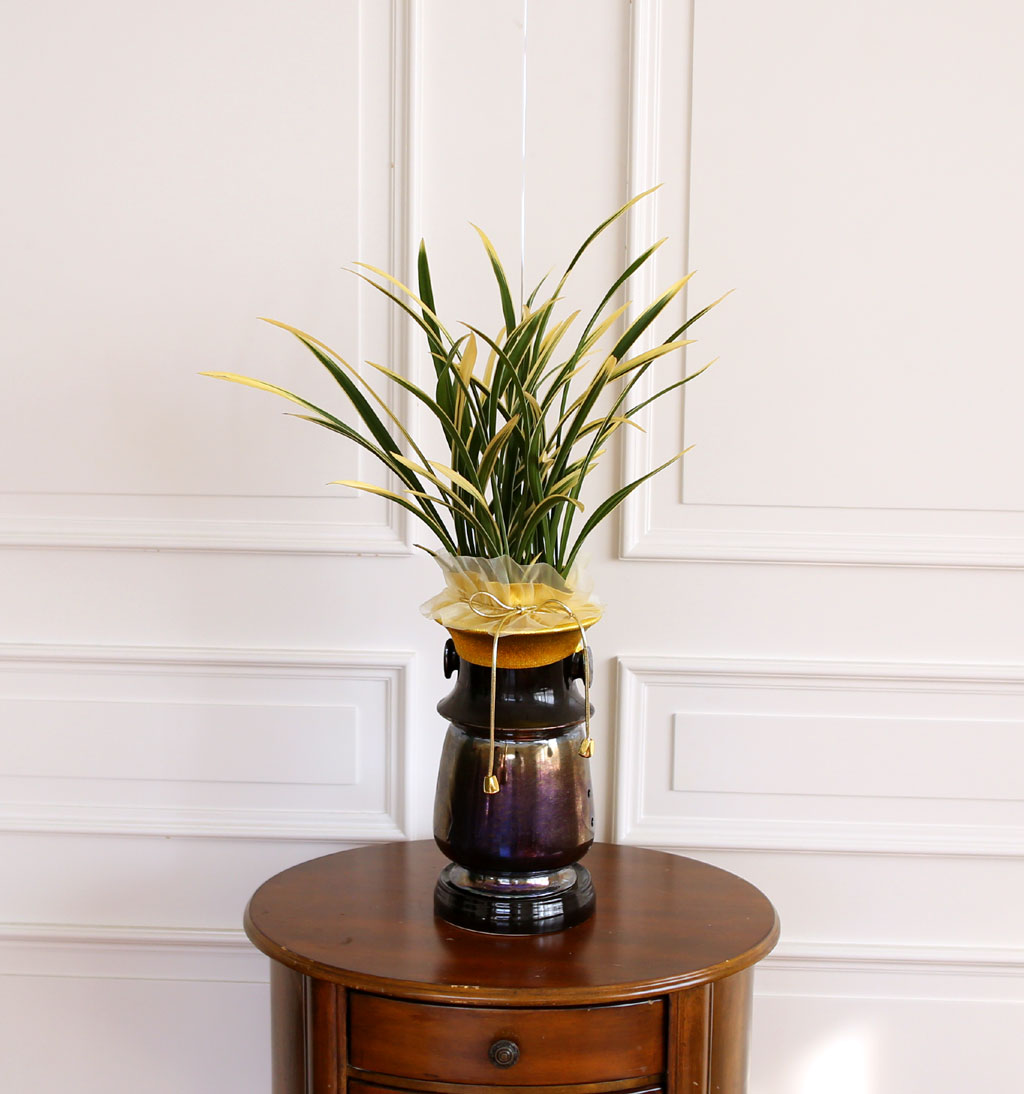 ¸íǰ µ¿¾ç¶õ - ±Ý±â