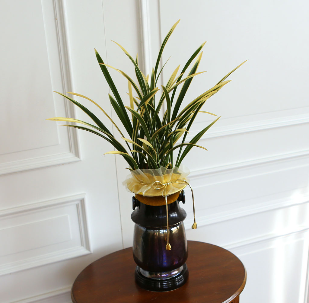 ¸íǰ µ¿¾ç¶õ - ±Ý±â