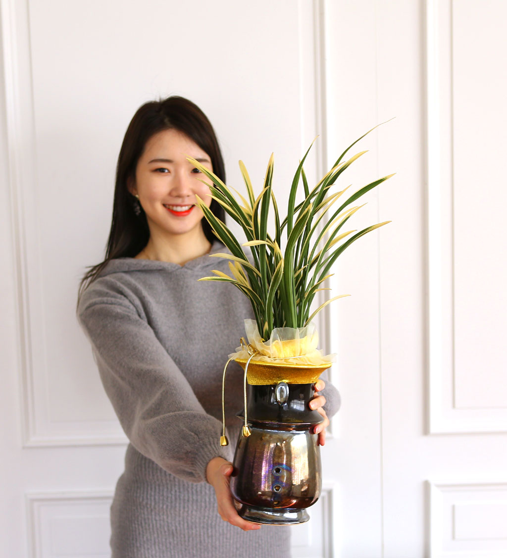 ¸íǰ µ¿¾ç¶õ - ±Ý±â