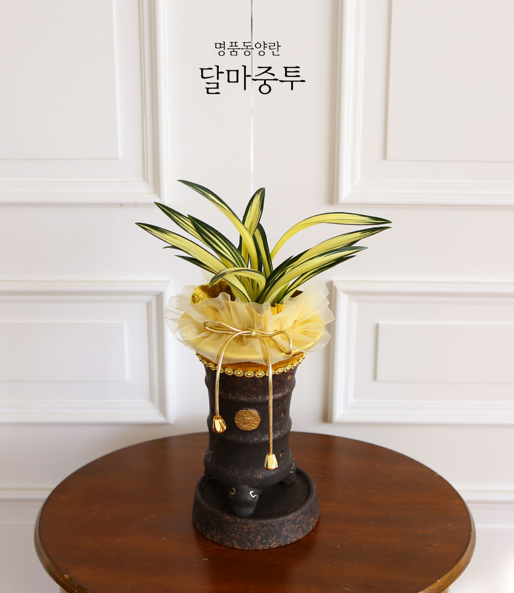 ¸íǰµ¿¾ç¶õ - ´Þ¸¶ÁßÅõ