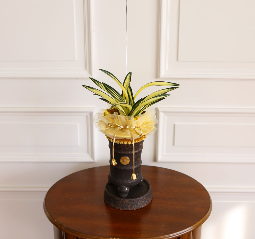 ¸íǰµ¿¾ç¶õ - ´Þ¸¶ÁßÅõ