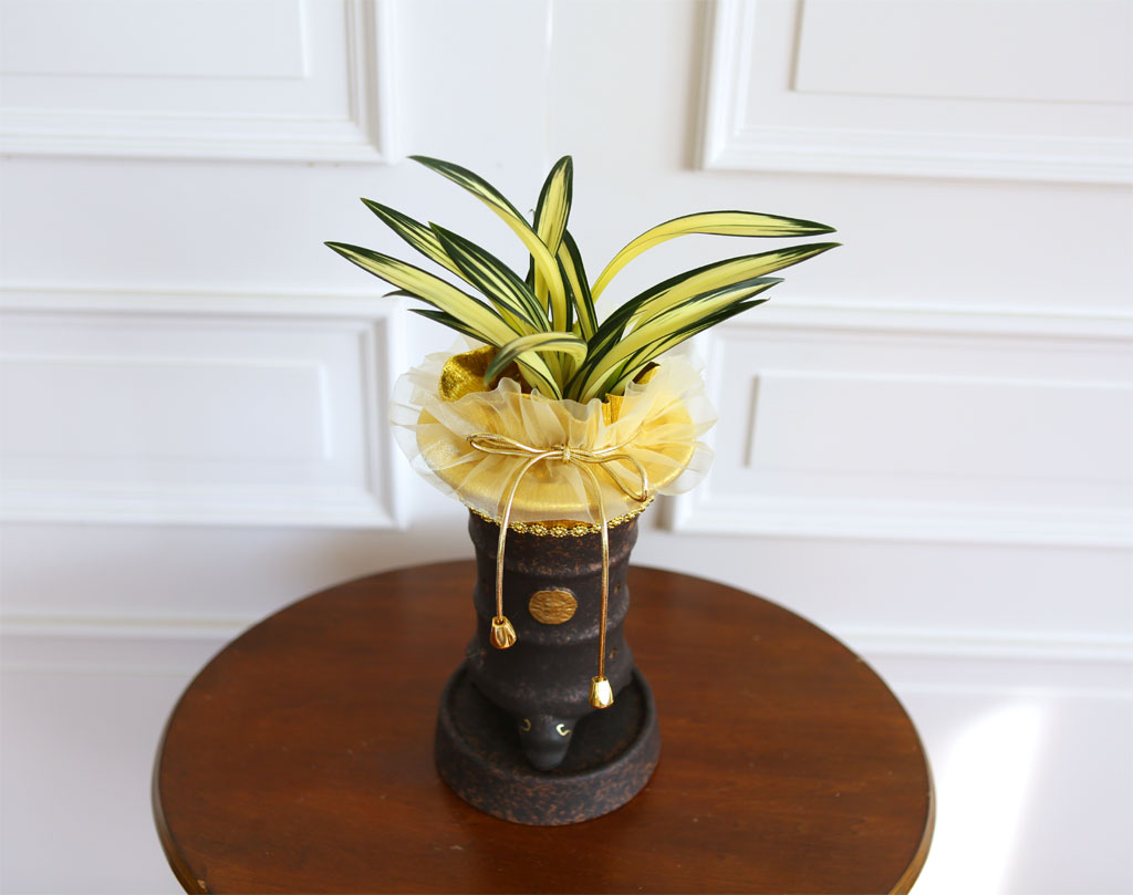 ¸íǰµ¿¾ç¶õ - ´Þ¸¶ÁßÅõ