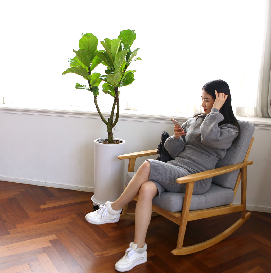 Offfice & nature ¶±°¥°í¹«³ª¹« ²ÉÁý ²É¹è´Þ