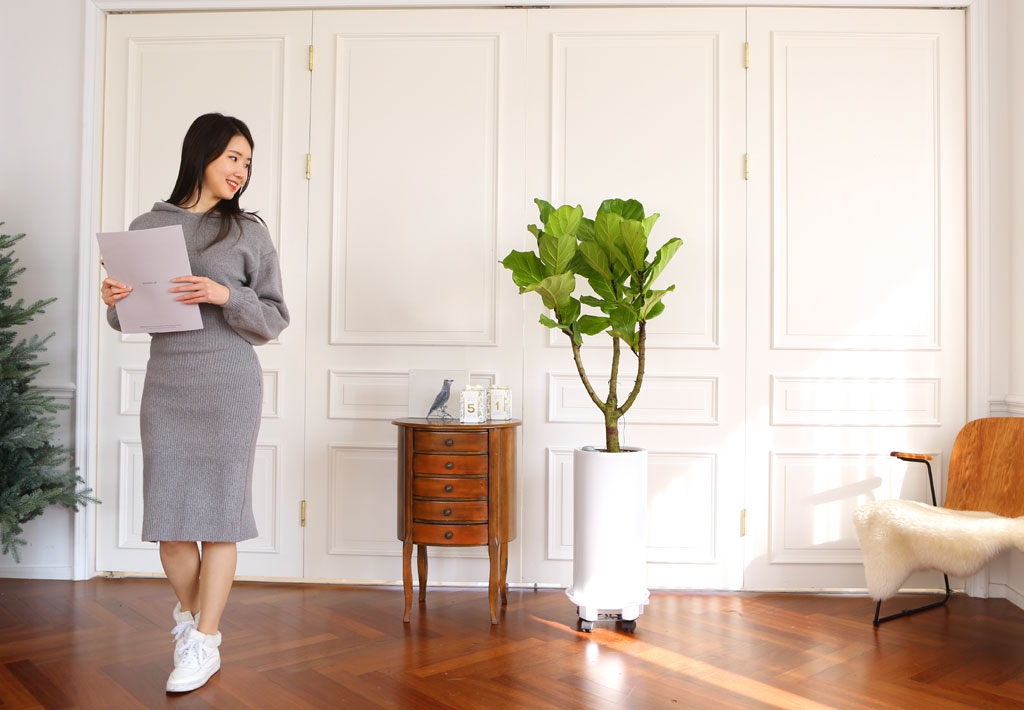 Offfice & nature ¶±°¥°í¹«³ª¹« ²ÉÁý ²É¹è´Þ