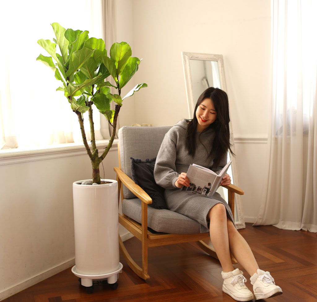 Offfice & nature ¶±°¥°í¹«³ª¹« ²ÉÁý ²É¹è´Þ