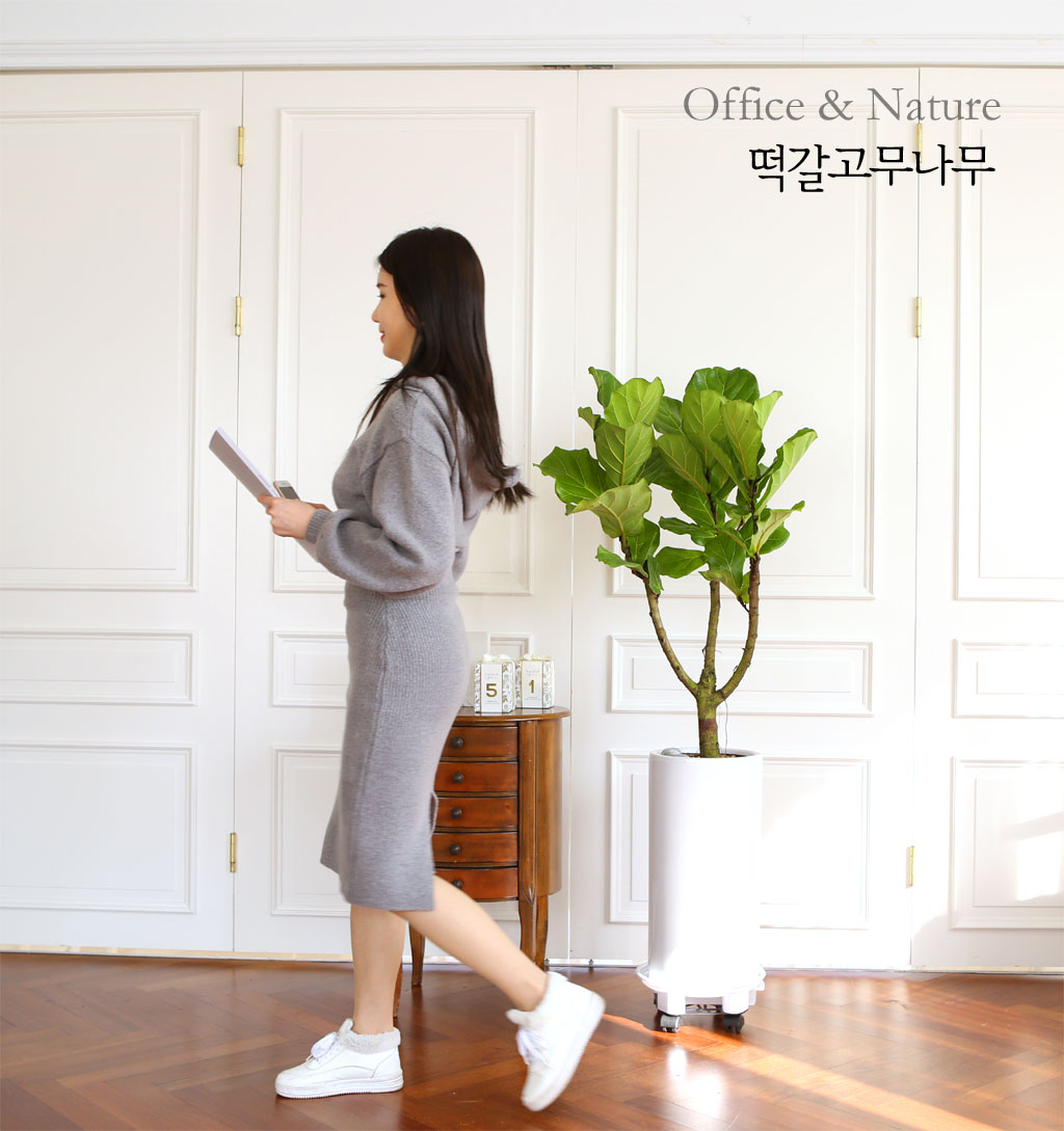 Offfice & nature ¶±°¥°í¹«³ª¹« ²ÉÁý ²É¹è´Þ