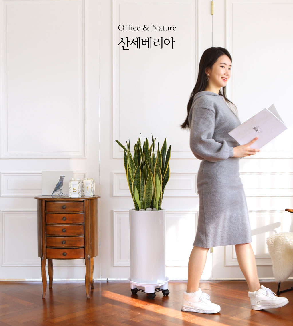 Offfice & nature »ê¼¼º£¸®¾Æ