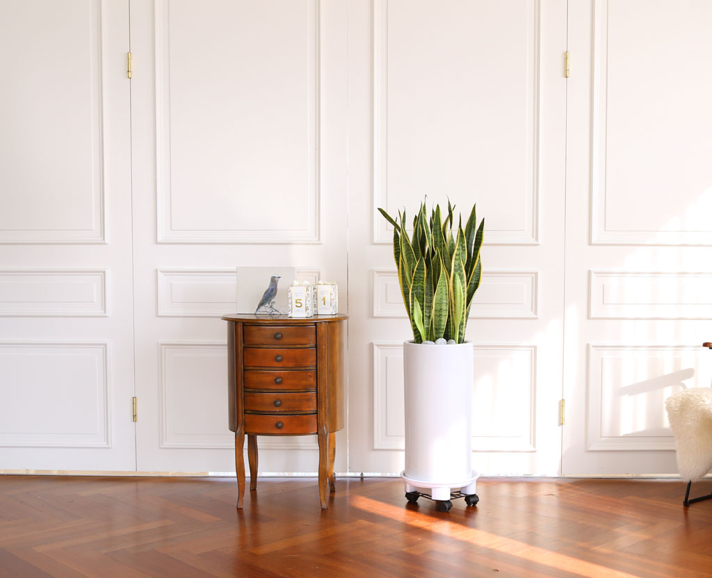 Offfice & nature »ê¼¼º£¸®¾Æ