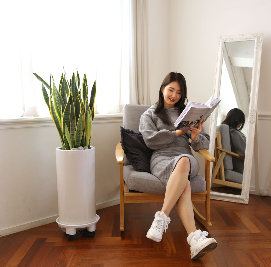 Offfice & nature »ê¼¼º£¸®¾Æ