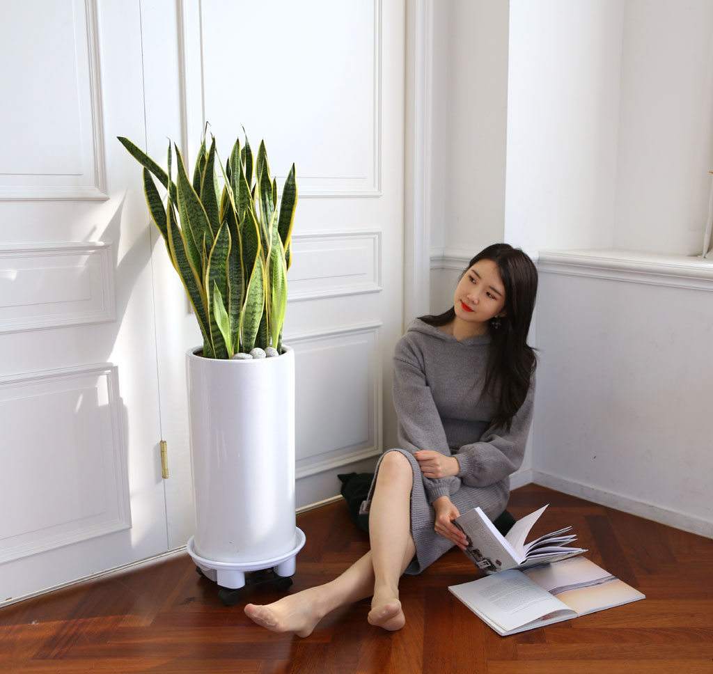 Offfice & nature »ê¼¼º£¸®¾Æ