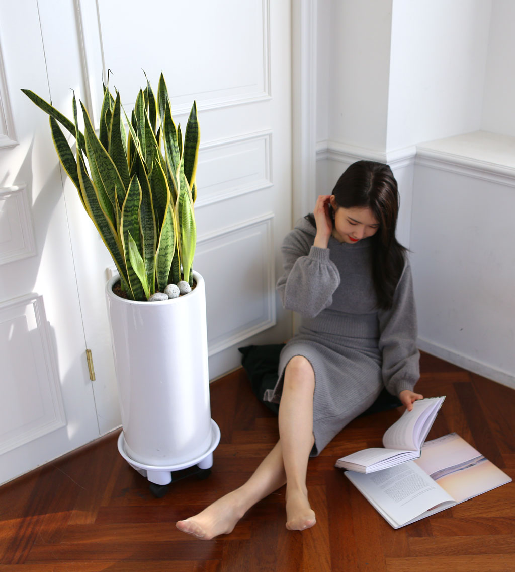 Offfice & nature »ê¼¼º£¸®¾Æ