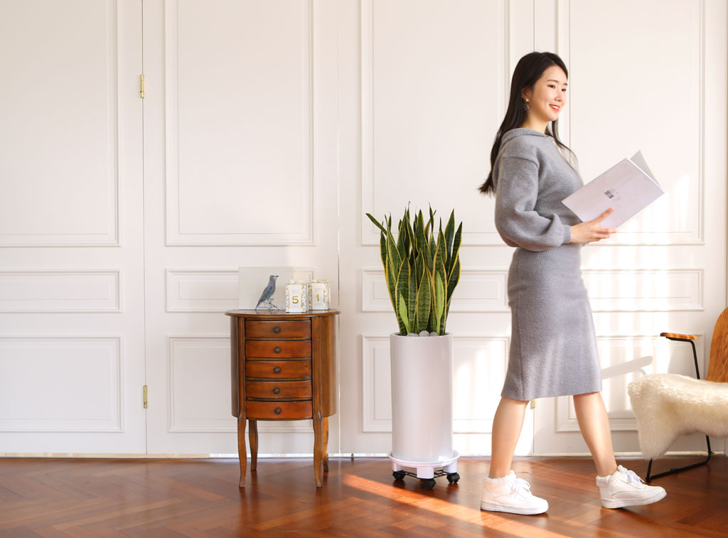 Offfice & nature »ê¼¼º£¸®¾Æ