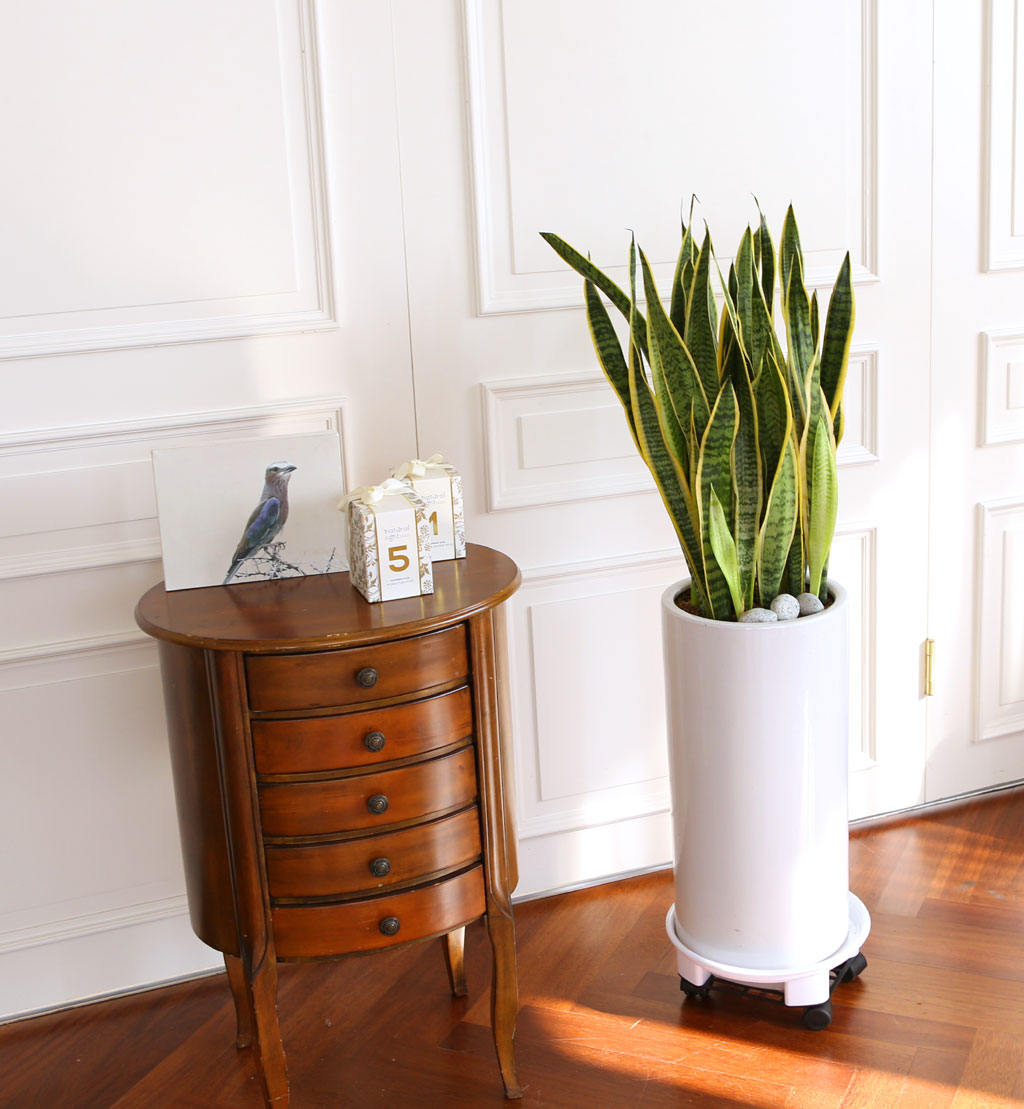 Offfice & nature »ê¼¼º£¸®¾Æ