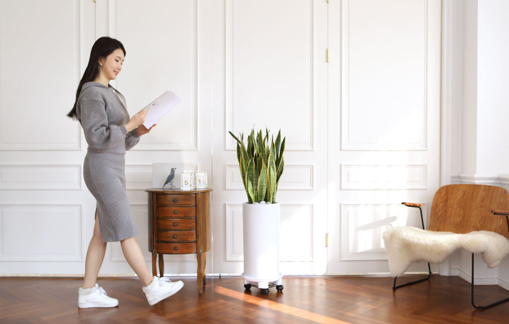 Offfice & nature »ê¼¼º£¸®¾Æ