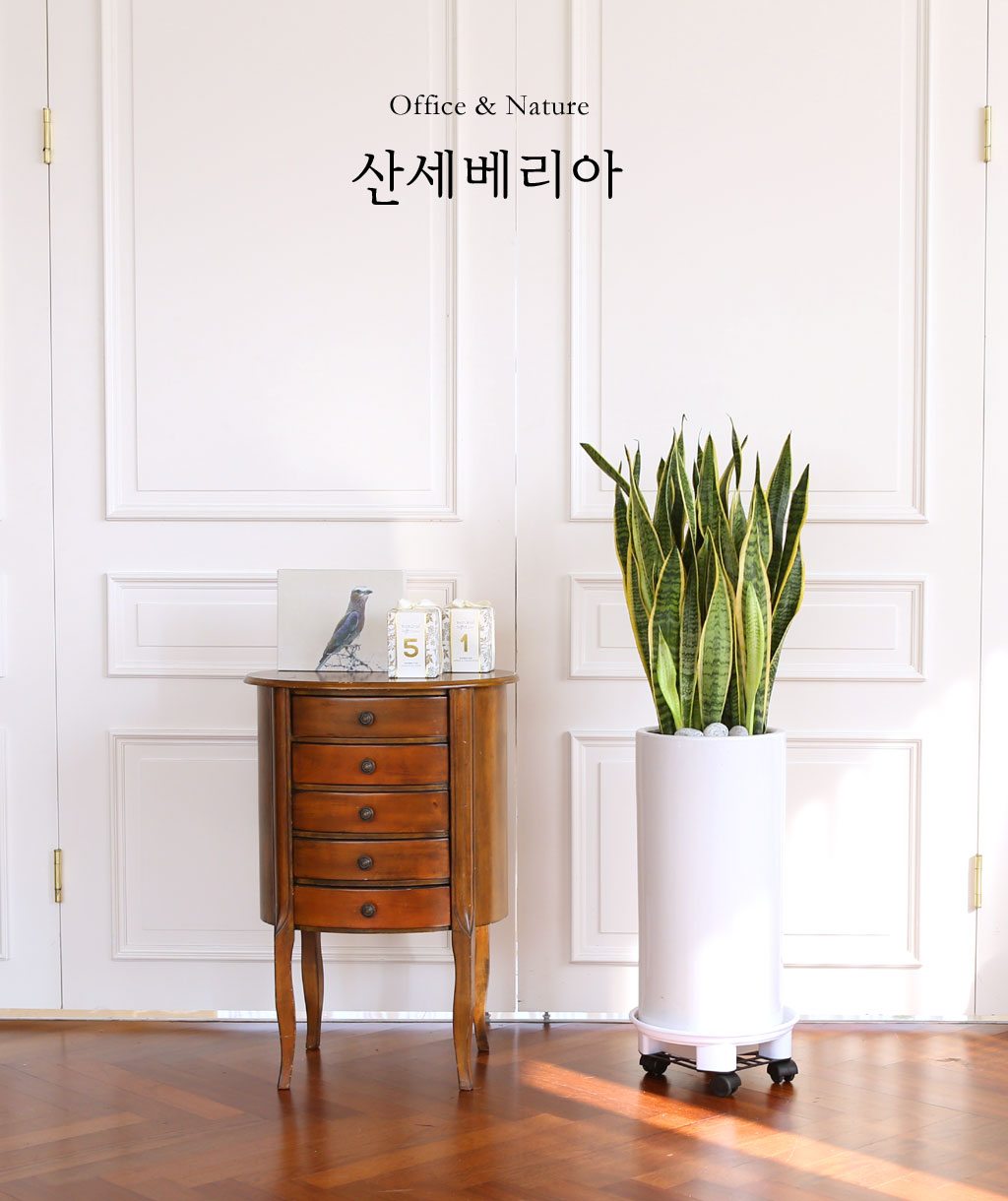 Offfice & nature »ê¼¼º£¸®¾Æ