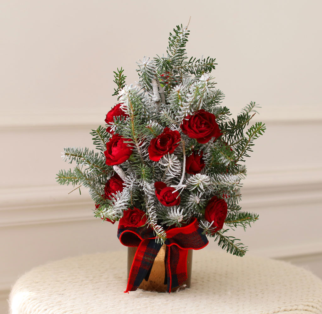 Yes it is  I like Tree ���� �ɹ��